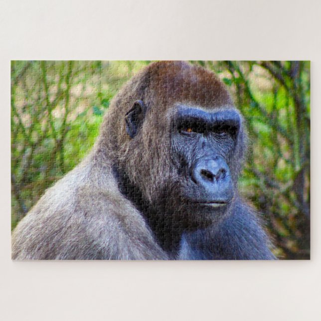 Gorillas. Puzzle (Horizontal)