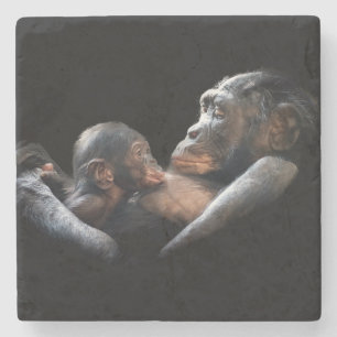 Gorillas Steinuntersetzer