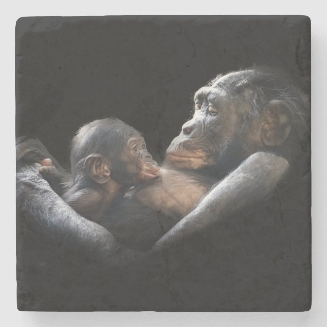 Gorillas Steinuntersetzer (Vorderseite)