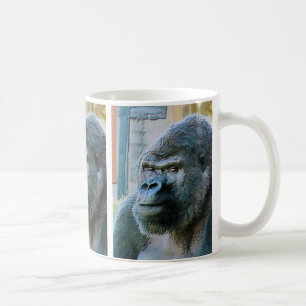 GORILLAS TASSE