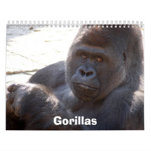 Gorillas tragen, Gorillas ein Kalender