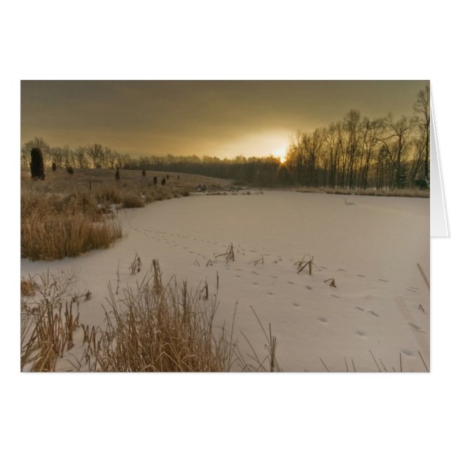 Gorman Winter-Sonnenaufgang (Vorderseite (Horizontal))