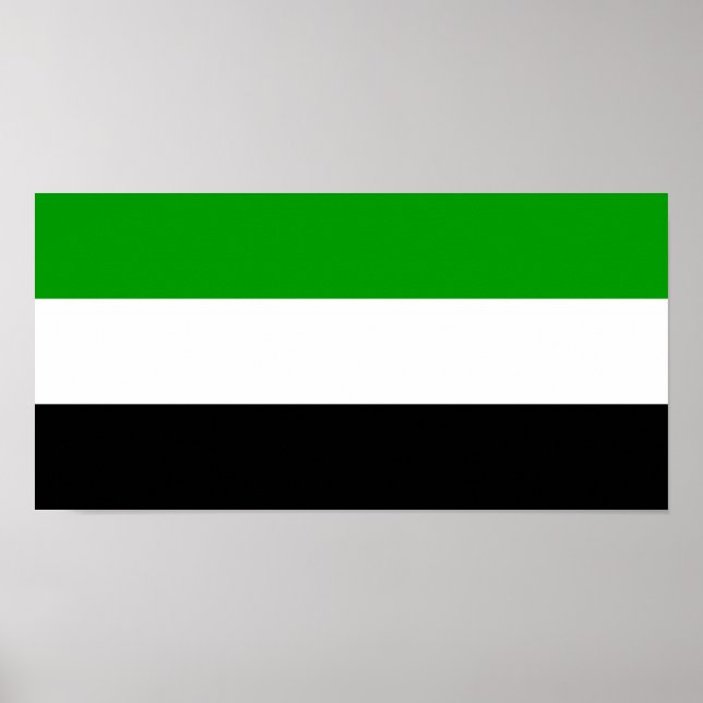 Gorno Badakhshan Fahne Staat Tadschikistan Region  Poster (Vorne)