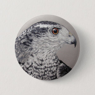 Goshawk Button