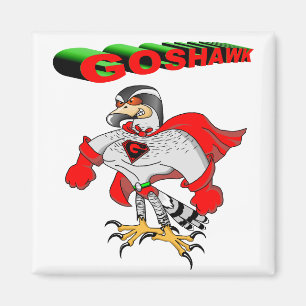 Goshawk Cartoon Magnet