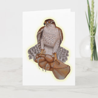Goshawk Grußkarte. Karte