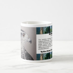 Goshawk-Tasse Tasse