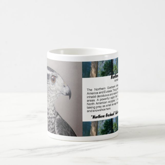 Goshawk-Tasse Tasse (Mittel)