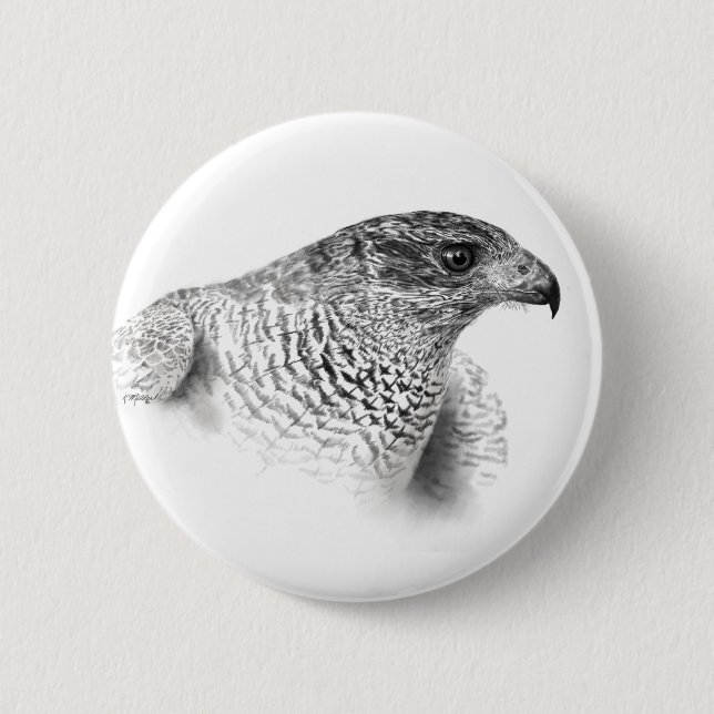 Goshawk Zeichnend Button (Vorderseite)