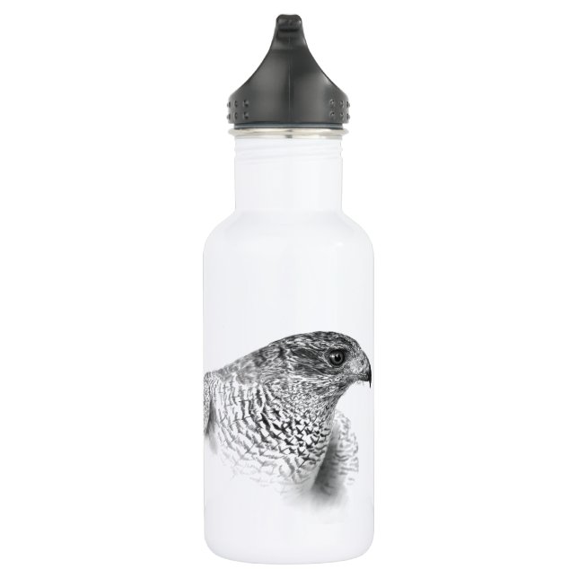 Goshawk Zeichnend Edelstahlflasche (Rechts)