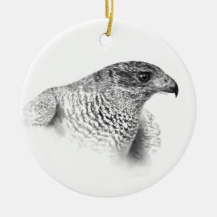 Goshawk Zeichnend Keramikornament