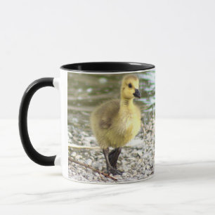 Gosling Foto Tasse