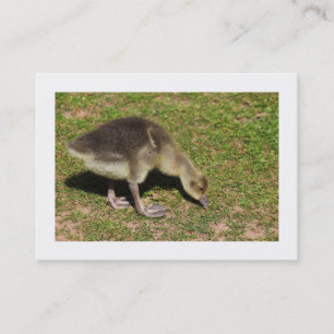 Gosling (grenzt) visitenkarte