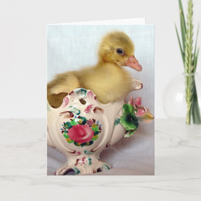 Gosling Karte (Vorderseite)