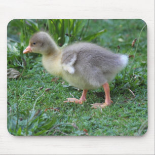 Gosling Mousepad