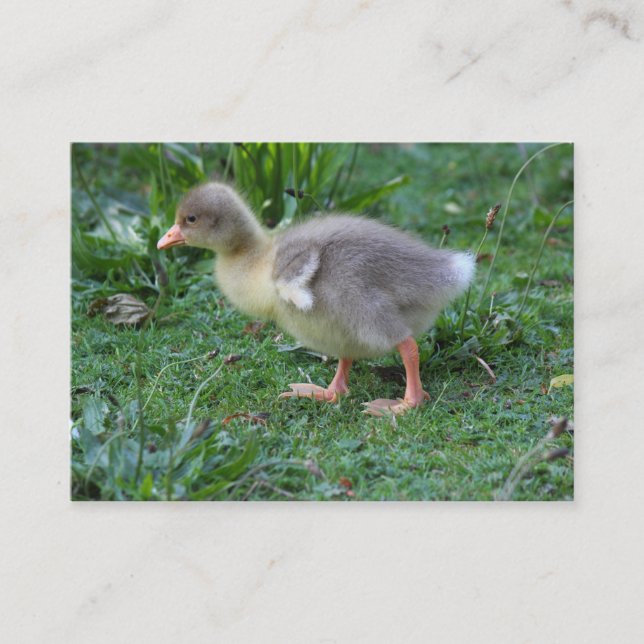 Gosling Visitenkarte (Vorderseite)