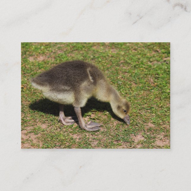 Gosling Visitenkarte (Vorderseite)