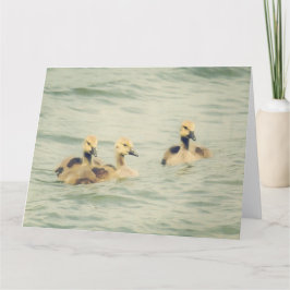 Goslings Baby Geese Big Note Card Karte