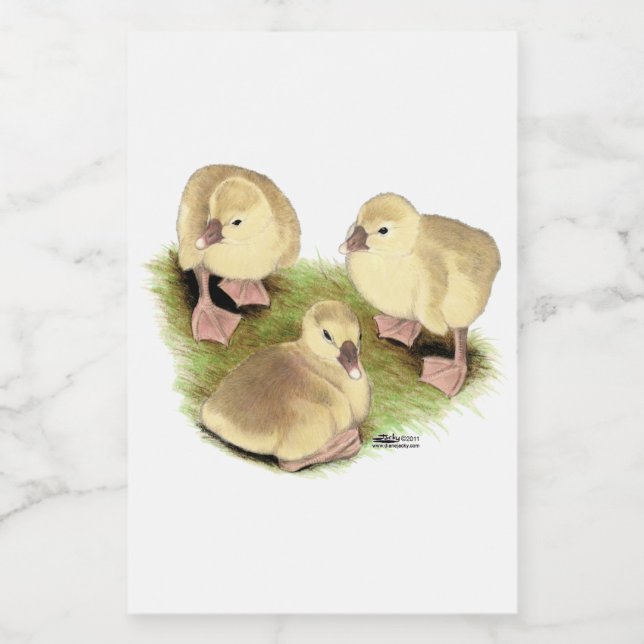 Goslings: Buff African Lebensmitteletikett (Einzelnes Label)