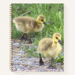 Goslings Foto Notebook Notizbuch