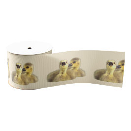 Goslings Foto Ribbon Ripsband