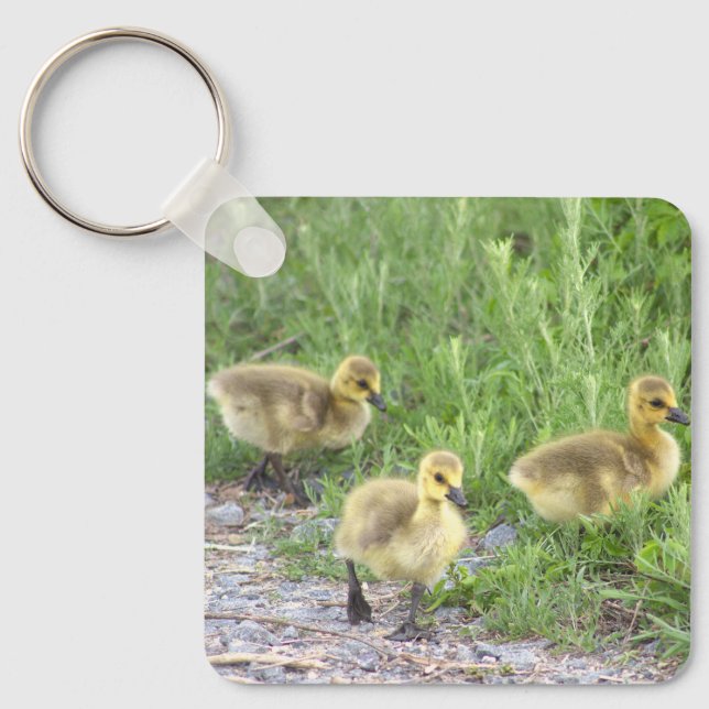 Goslings Foto Schlüsselanhänger (Vorderseite)