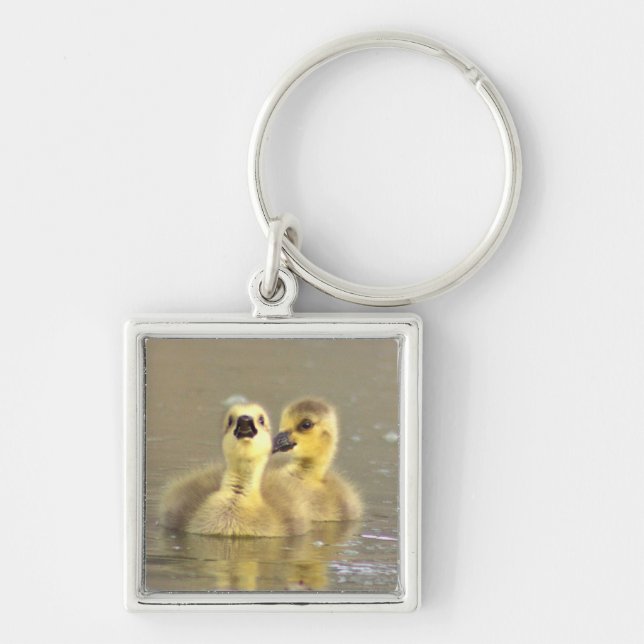 Goslings Foto Schlüsselanhänger (Vorne)