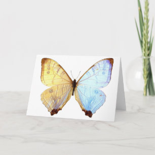 Gossamer Blue Butterfly Wings Note Birthday Card Karte