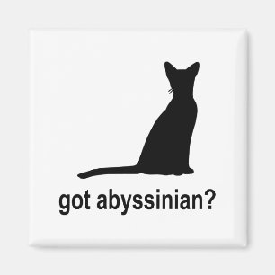Got Abyssinier? Magnet