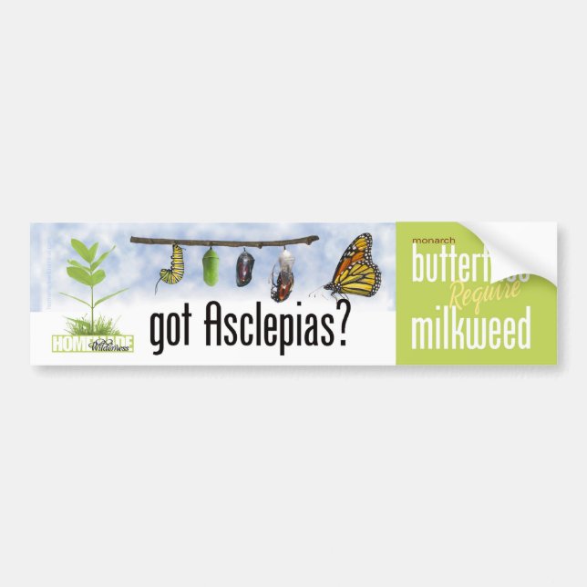 Got Asclepias (Milkweed)? Autoaufkleber (Vorne)