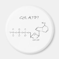 Got ATP?