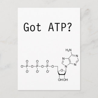 Got ATP? Postkarte