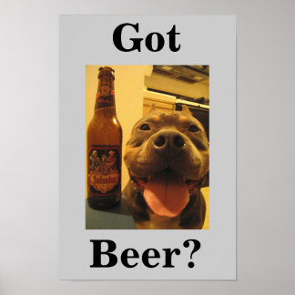 Got Bier? Poster