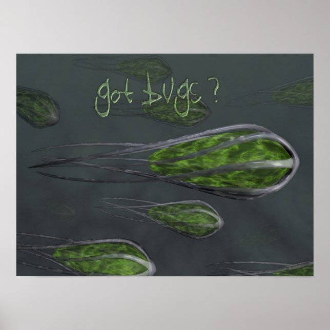 Got Bugs? Poster (Vorne)