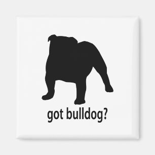 Got Bulldog Magnet