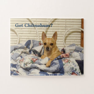 Got Chihuahuas-Puzzlespiel Puzzle