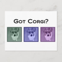 Got Corgi? Funny Corgis Art Fotograf