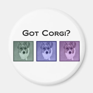 Got Corgi? Niedlich Corgis Magnet