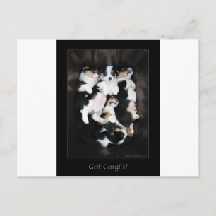 Got Corgis? Postkarte