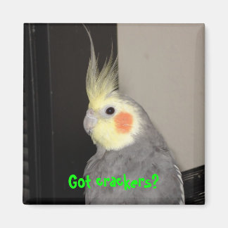 Got Cracker? Magnet