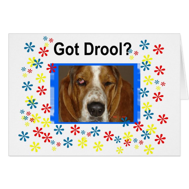 Got Drool (Vorderseite (Horizontal))