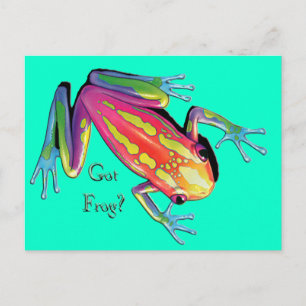 Got Frosch? Postkarte