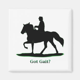 Got Gait Magnet