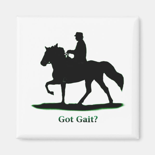 Got Gait Magnet (Vorne)