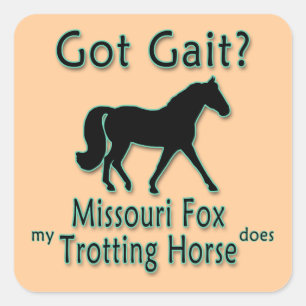 Got Gait? Mein Missouri Fox Trotting Pferd tut es Quadratischer Aufkleber