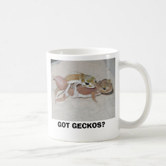 GOT GECKOS? TASSE