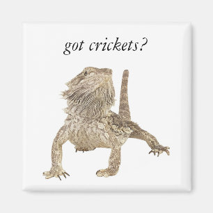 Got Grillen Magnet