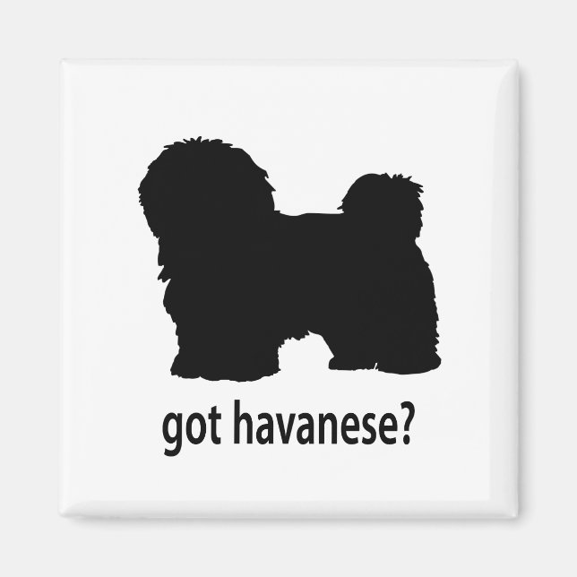 Got Havanese Magnet (Vorne)