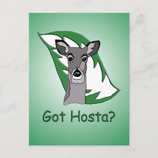 Got Hosta? Postkarte