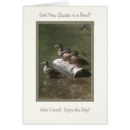 Got Ihre Enten in einer Reihe?